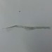 CABO FLAT DO MOUSE INTELBRAS i550 29GS40041-10