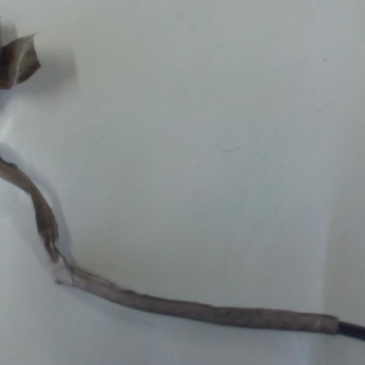 Conector USB LG R405 Conector USB LG R405